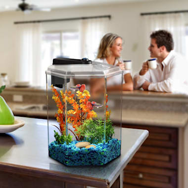 petco hexagon fish tank