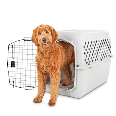 30 inch plastic dog crate