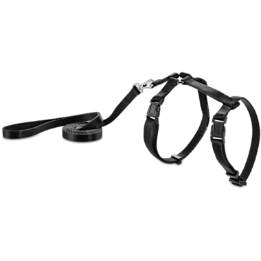 harness and lead set