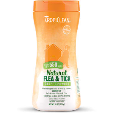 homemade flea powder for carpet