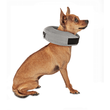 inflatable dog cone petco