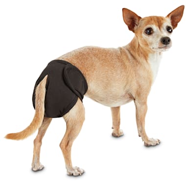 So Phresh Washable Diaper for Dogs, X 