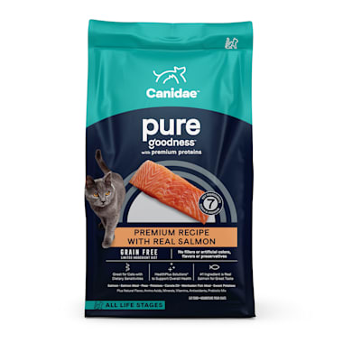 fresh salmon for cats