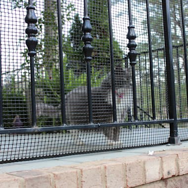 pet gate deck netting