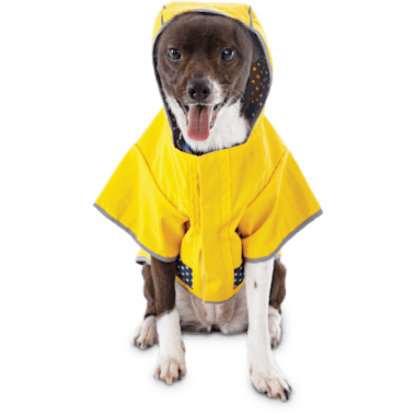 good2go dog raincoat