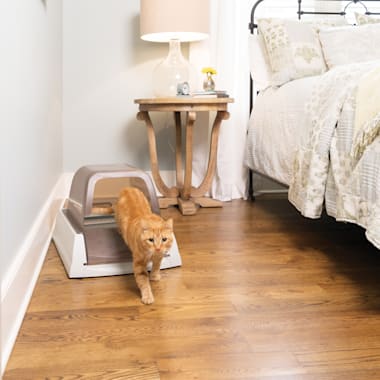 petco petsafe scoopfree