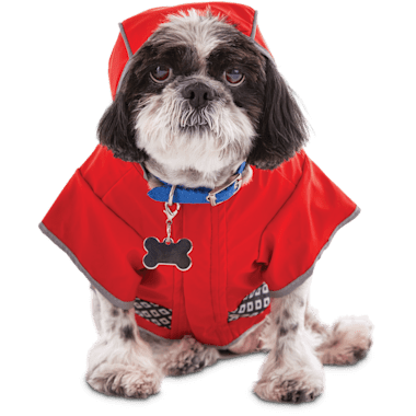 dog raincoat petco