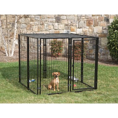 Dog cage clearance cheap as chips