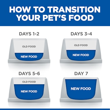 hills digestive care stress