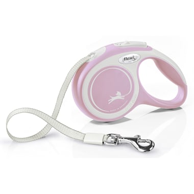 red miniature poodle puppy