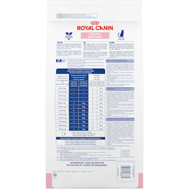 royal canin cat food dental care