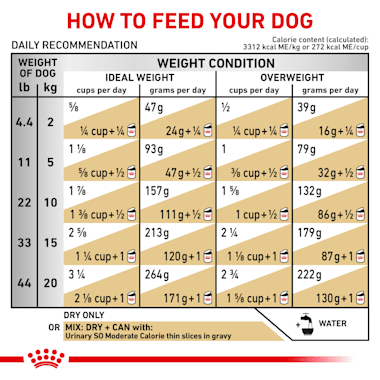 royal canin urinary so 17.6 lb