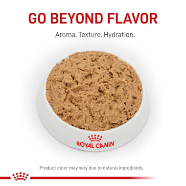 royal canin glycobalance dog food