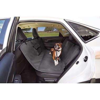 dog seat belt harness petco