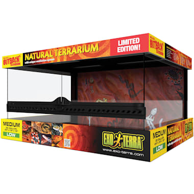 terrarium petco