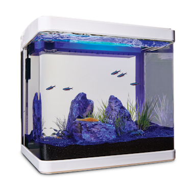 petco aquarium pump