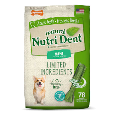 nylabone nutri dent small