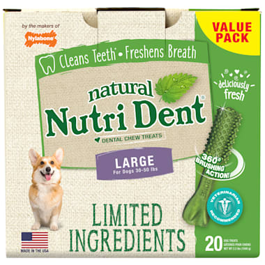 fresh breath dental chews