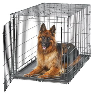 dog crate sizes petco