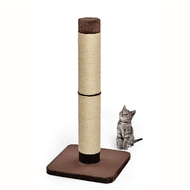 cat scratching post with seat