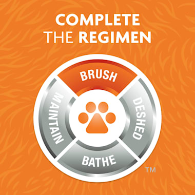 petco dog brush