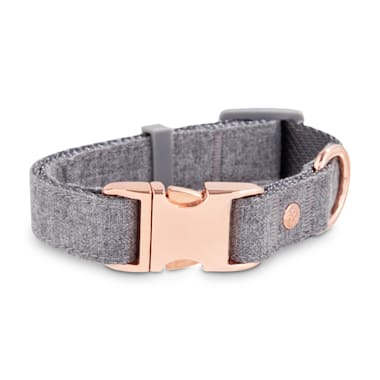 grey and pink dog collar