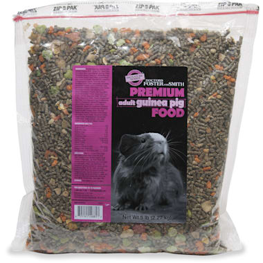 adult guinea pig food