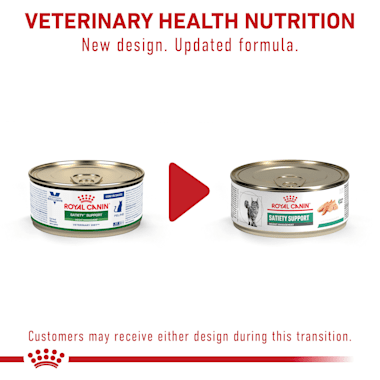 satiety cat food wet