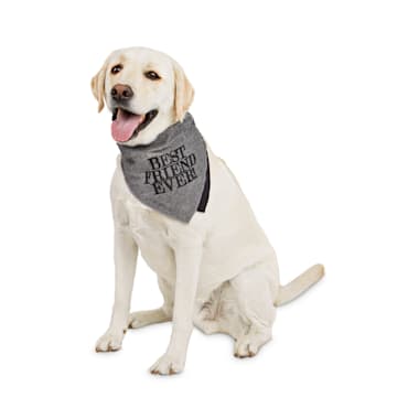 best friend dog bandana