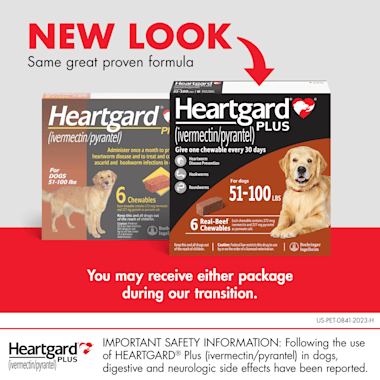 Heartgard Plus Chewables for Dogs 51 to 