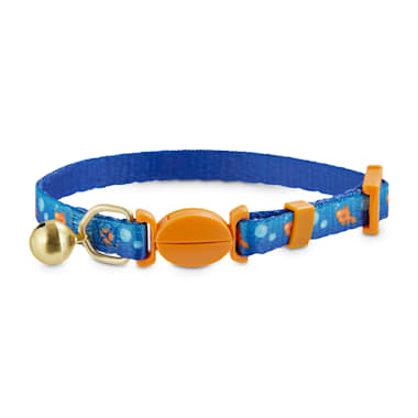 orange kitten collar