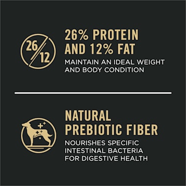 best price on purina pro plan