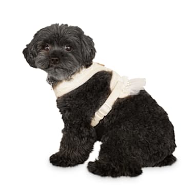 cute female dog harness