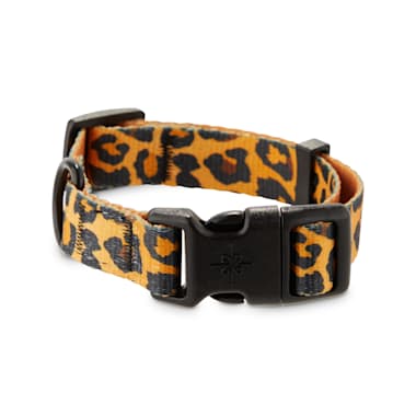 animal print dog collar
