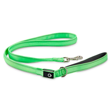 petco leashes and collars