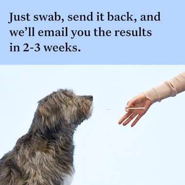 Wisdom Panel Results Wrong 2024 www.gemologytidbits