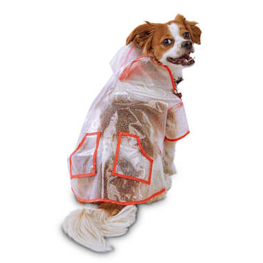 dog raincoat petco