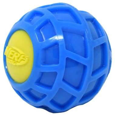 blue squeaky dog ball