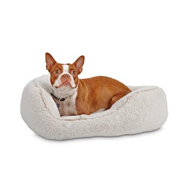 cozy cuddler dog bed