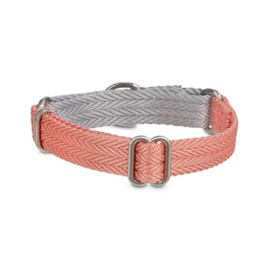 grey and pink dog collar