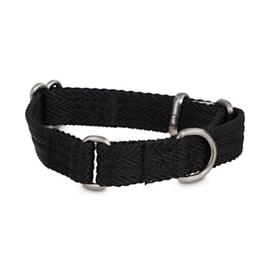 black dog martingale collar
