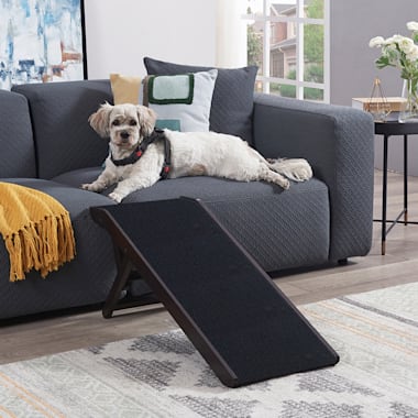 petco folding dog ramp