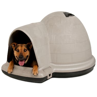 largest igloo dog house