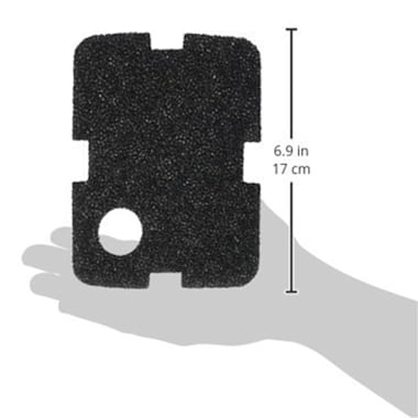 canister filter petco