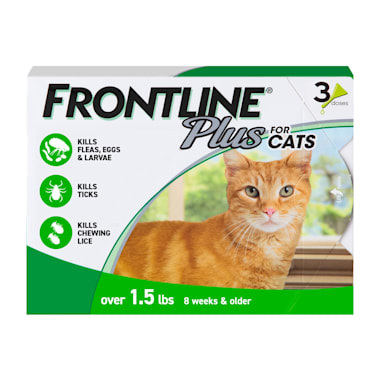 flea powder for cats and dogs