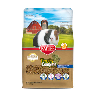 Bulk timothy hay for guinea pigs top