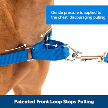 petco wonder walker harness