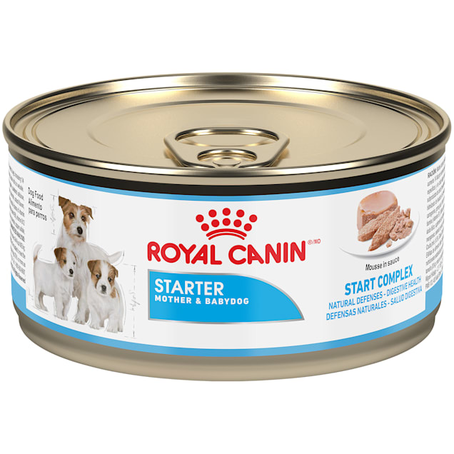 Royal Canin Canine Health Nutrition Starter Mousse Canned Dog Food, 5.8