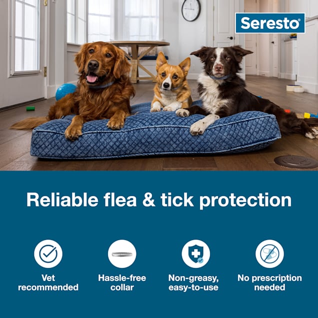 seresto collars for small dogs