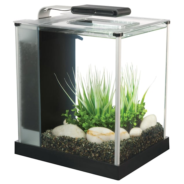 Fluval 2.6 Gallon Spec III Aquarium Kit, Black Petco